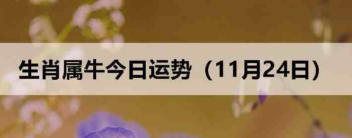 ��Ф��ţ�������ƣ�11��24�գ�