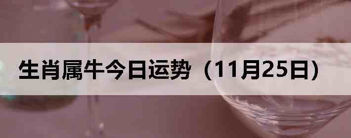 ��Ф��ţ�������ƣ�11��25�գ�