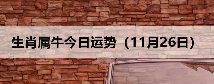 ��Ф��ţ�������ƣ�11��26�գ�