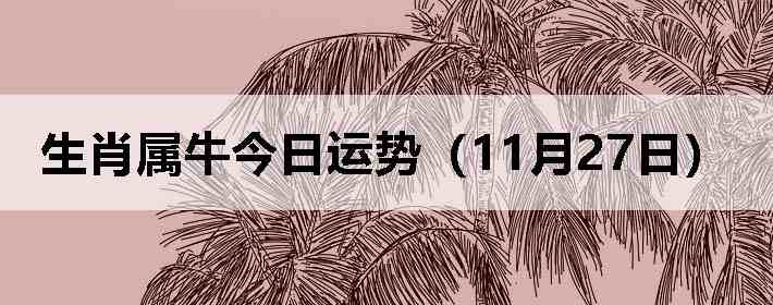 ��Ф��ţ�������ƣ�11��27�գ�