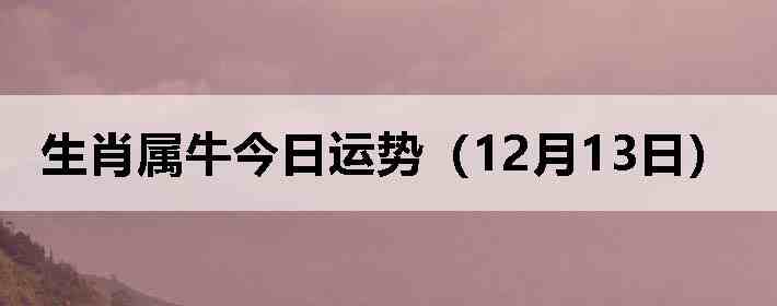 ��Ф��ţ�������ƣ�12��13�գ�