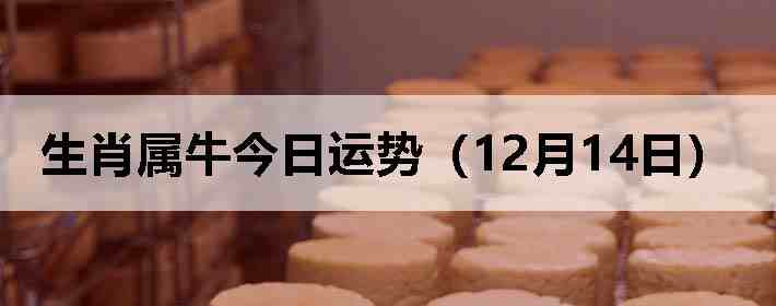 ��Ф��ţ�������ƣ�12��14�գ�