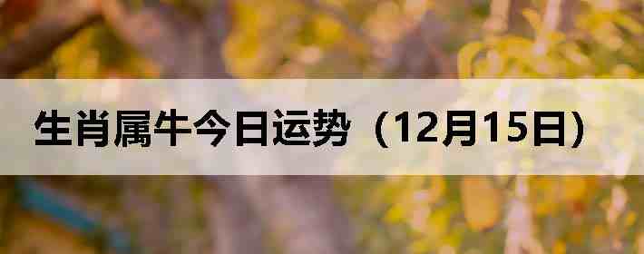 ��Ф��ţ�������ƣ�12��15�գ�