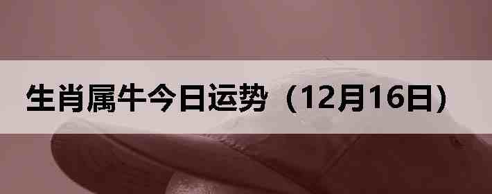 ��Ф��ţ�������ƣ�12��16�գ�