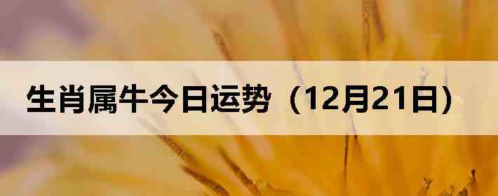 ��Ф��ţ�������ƣ�12��21�գ�