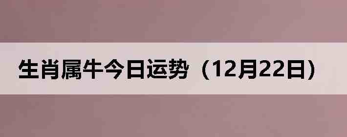 ��Ф��ţ�������ƣ�12��22�գ�