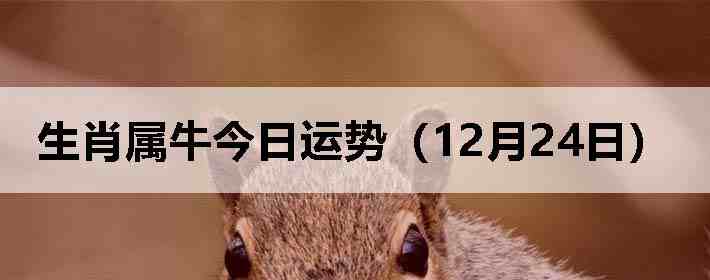 ��Ф��ţ�������ƣ�12��24�գ�