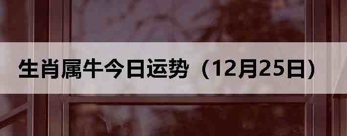 ��Ф��ţ�������ƣ�12��25�գ�