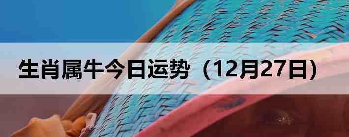 ��Ф��ţ�������ƣ�12��27�գ�