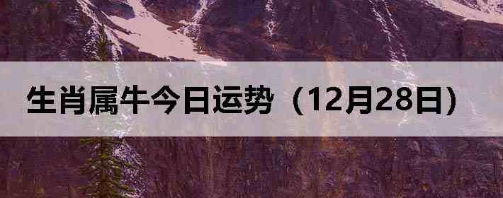 ��Ф��ţ�������ƣ�12��28�գ�