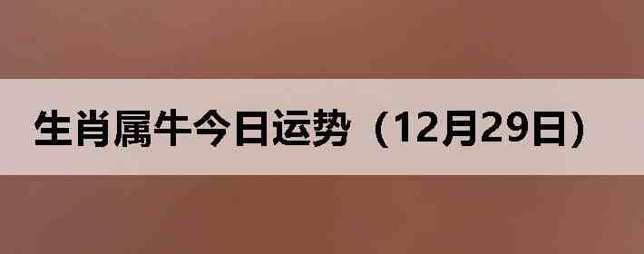 ��Ф��ţ�������ƣ�12��29�գ�