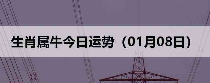 ��Ф��ţ�������ƣ�01��08�գ�