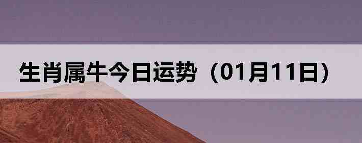 ��Ф��ţ�������ƣ�01��11�գ�