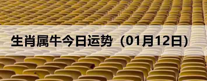 ��Ф��ţ�������ƣ�01��12�գ�