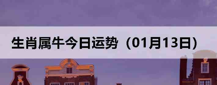 ��Ф��ţ�������ƣ�01��13�գ�