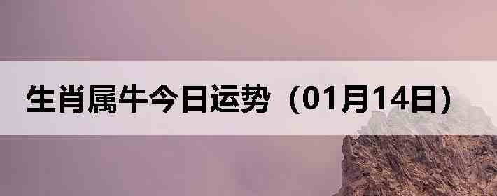 ��Ф��ţ�������ƣ�01��14�գ�