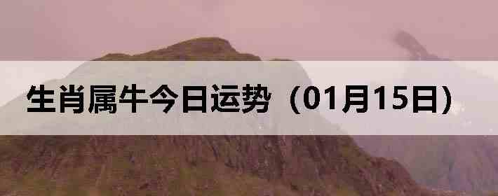 ��Ф��ţ�������ƣ�01��15�գ�