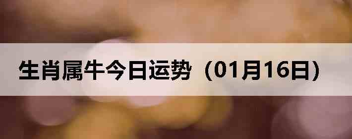 ��Ф��ţ�������ƣ�01��16�գ�