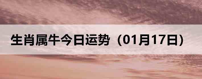 ��Ф��ţ�������ƣ�01��17�գ�