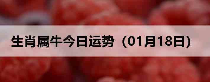 ��Ф��ţ�������ƣ�01��18�գ�