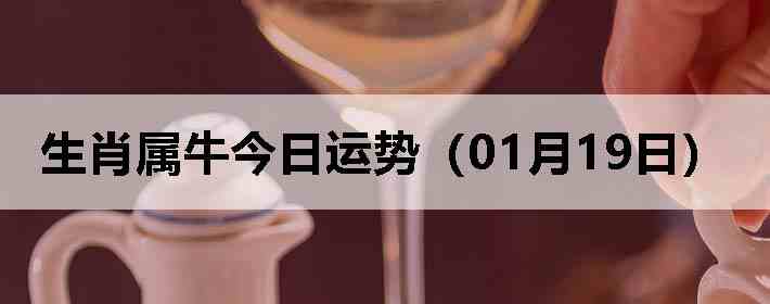 ��Ф��ţ�������ƣ�01��19�գ�