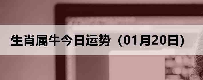 ��Ф��ţ�������ƣ�01��20�գ�