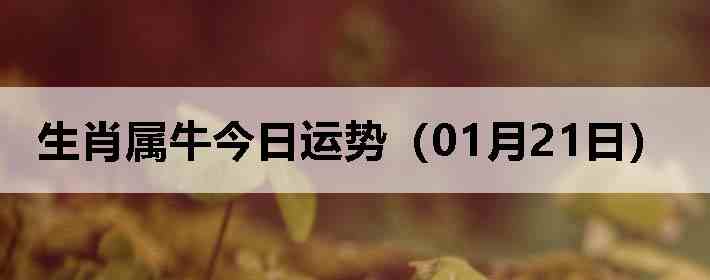 ��Ф��ţ�������ƣ�01��21�գ�