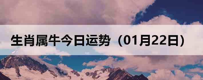 ��Ф��ţ�������ƣ�01��22�գ�