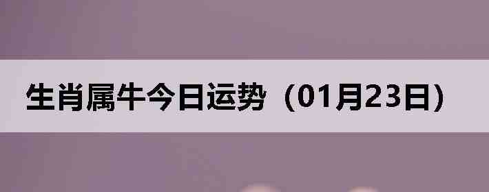 ��Ф��ţ�������ƣ�01��23�գ�