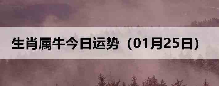 ��Ф��ţ�������ƣ�01��25�գ�