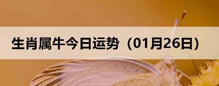 ��Ф��ţ�������ƣ�01��26�գ�