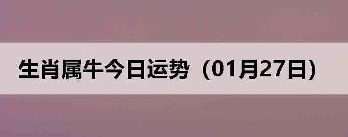 ��Ф��ţ�������ƣ�01��27�գ�