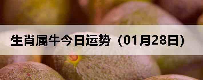 ��Ф��ţ�������ƣ�01��28�գ�