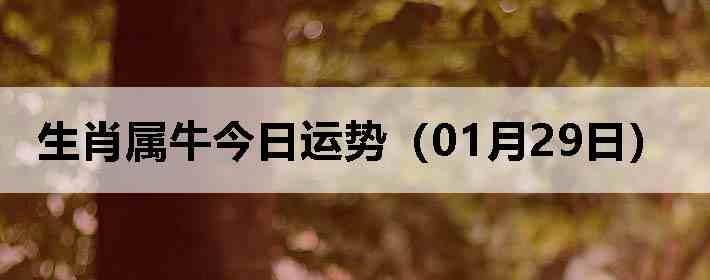 ��Ф��ţ�������ƣ�01��29�գ�