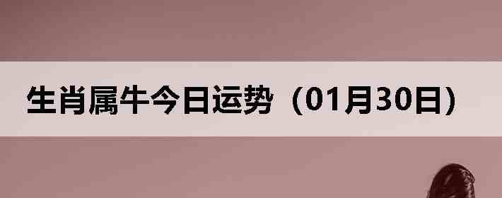 ��Ф��ţ�������ƣ�01��30�գ�