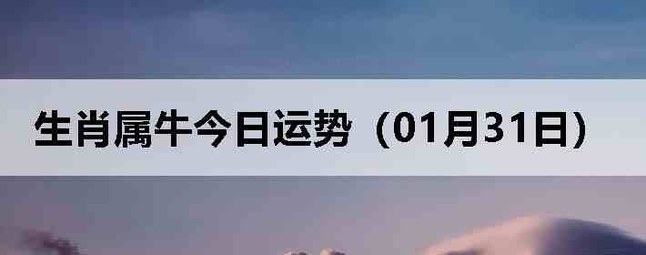 ��Ф��ţ�������ƣ�01��31�գ�