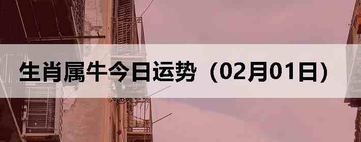 ��Ф��ţ�������ƣ�02��01�գ�