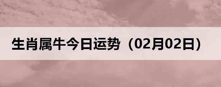 ��Ф��ţ�������ƣ�02��02�գ�