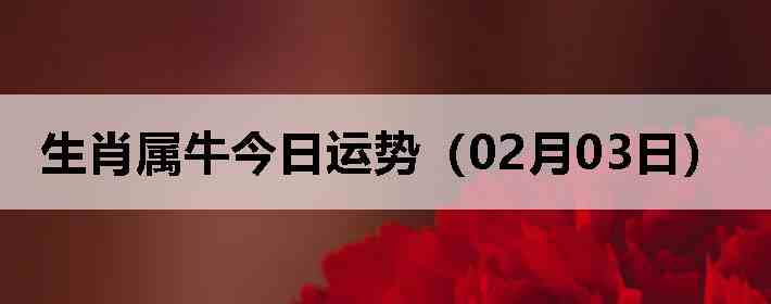 ��Ф��ţ�������ƣ�02��03�գ�