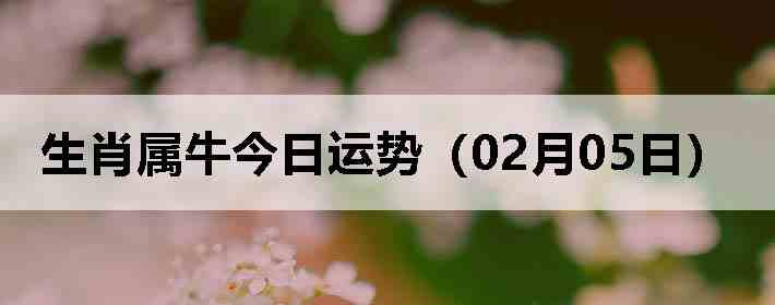 ��Ф��ţ�������ƣ�02��05�գ�