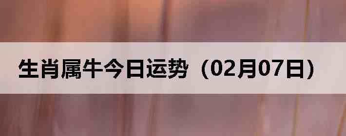 ��Ф��ţ�������ƣ�02��07�գ�