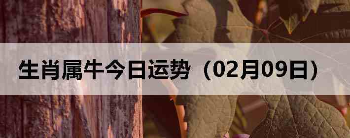 ��Ф��ţ�������ƣ�02��09�գ�