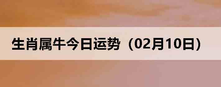 ��Ф��ţ�������ƣ�02��10�գ�