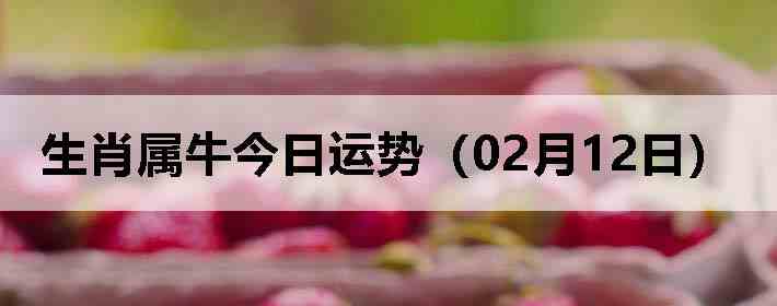 ��Ф��ţ�������ƣ�02��12�գ�