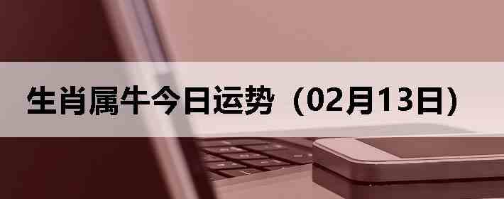 ��Ф��ţ�������ƣ�02��13�գ�