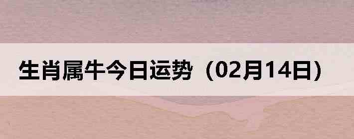 ��Ф��ţ�������ƣ�02��14�գ�