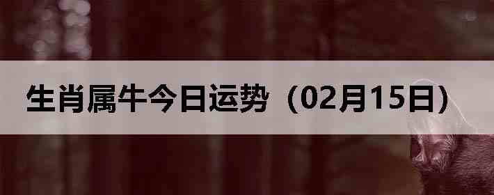 ��Ф��ţ�������ƣ�02��15�գ�