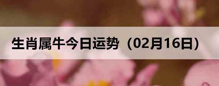 ��Ф��ţ�������ƣ�02��16�գ�