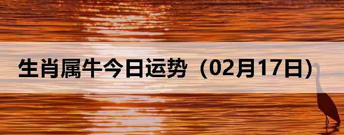 ��Ф��ţ�������ƣ�02��17�գ�