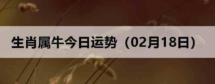 ��Ф��ţ�������ƣ�02��18�գ�